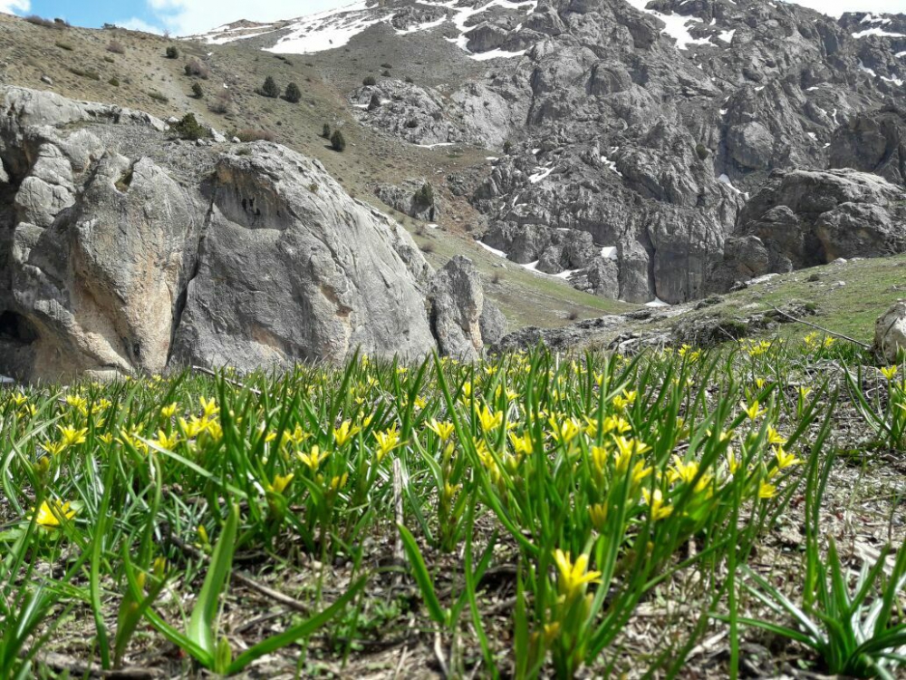 Erzincan Kılıçkaya Köyü Resimleri 10