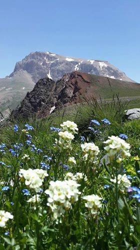 Erzincan Kılıçkaya Köyü Resimleri 13