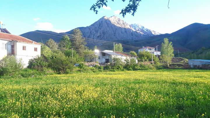 Erzincan Kılıçkaya Köyü Resimleri 14