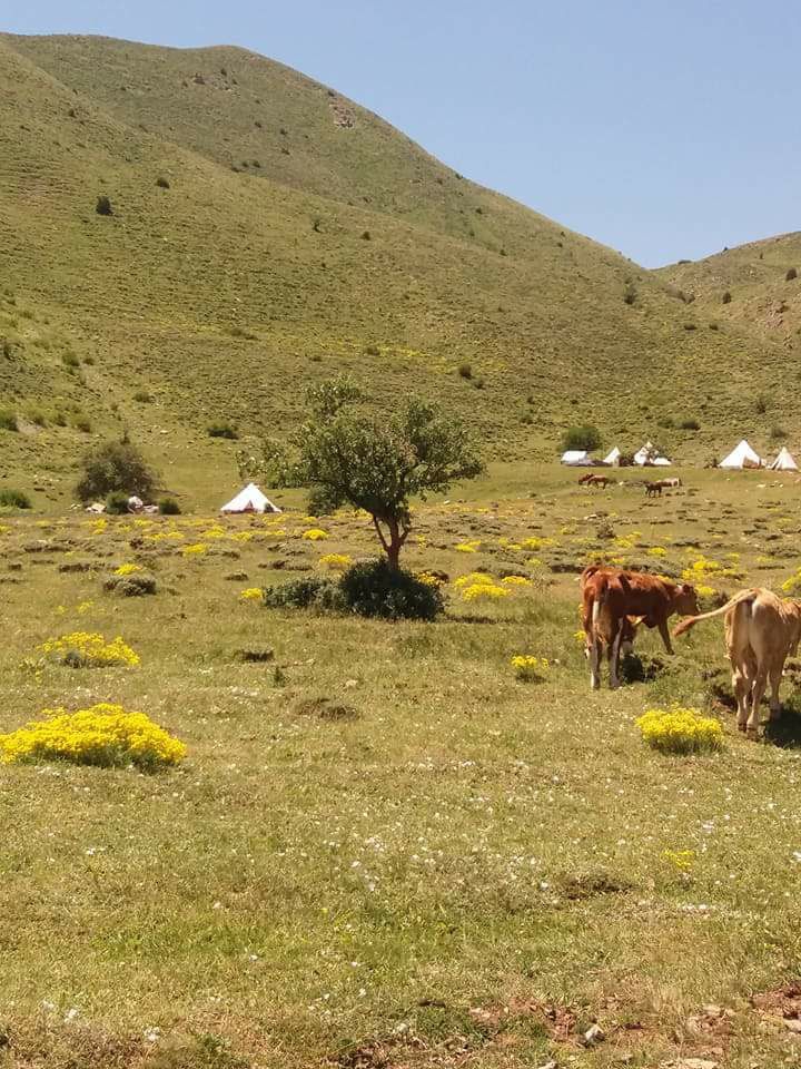 Erzincan Kılıçkaya Köyü Resimleri 18