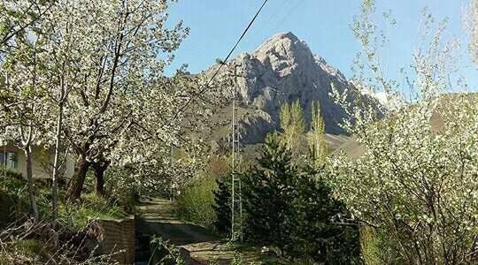 Erzincan Kılıçkaya Köyü Resimleri 2