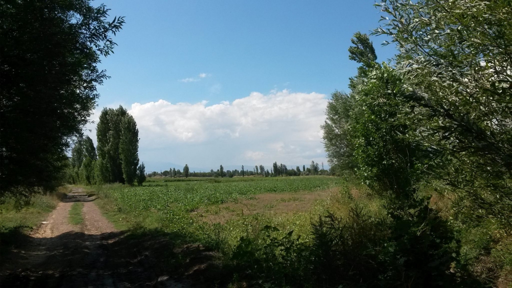 Erzincan Küçük Kadağan Köyü Resimleri 4