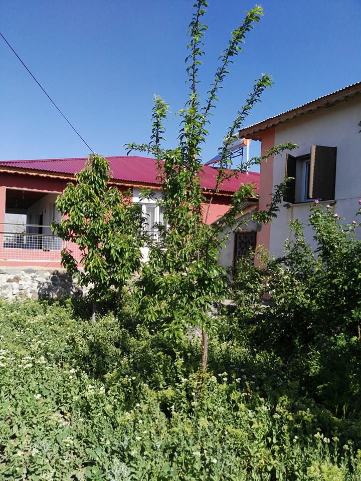 Gürün Kaşköy Resimleri 9