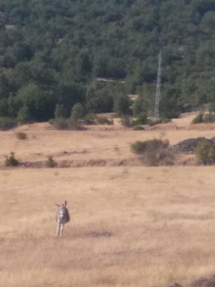 Sivrice  Çortunlu Köyü Resimleri 1