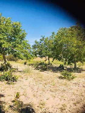 Çal Peynirciler Köyü Resimleri 1