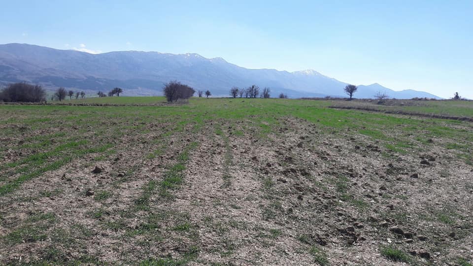 Çal Peynirciler Köyü Resimleri 3