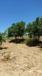 Çal Selcen Köyü Resimleri 4