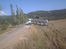 Çameli Ayvacık Köyü Resimleri 1