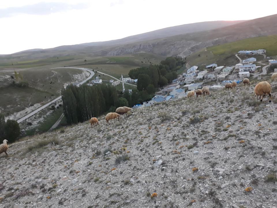 Gürün Kızılburun Köyü Resimleri 2