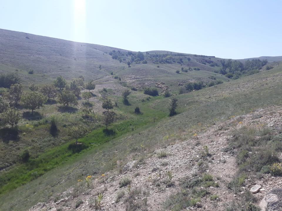 Gürün Kızılburun Köyü Resimleri 6