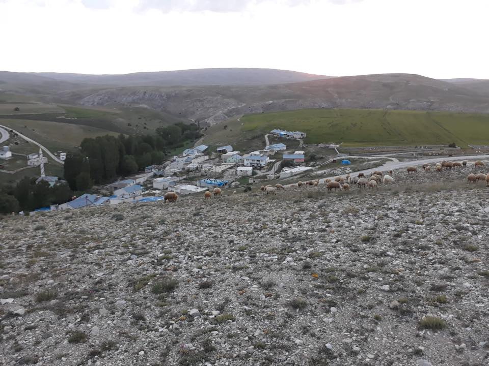 Gürün Kızılburun Köyü Resimleri 7