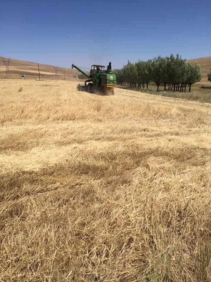 Gürün Kızılpınar Köyü Resimleri 7