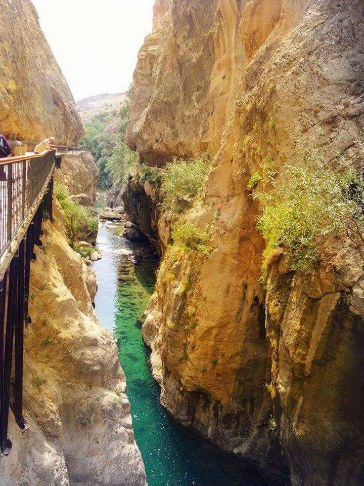Gürün Kızılören Köyü Resimleri 19