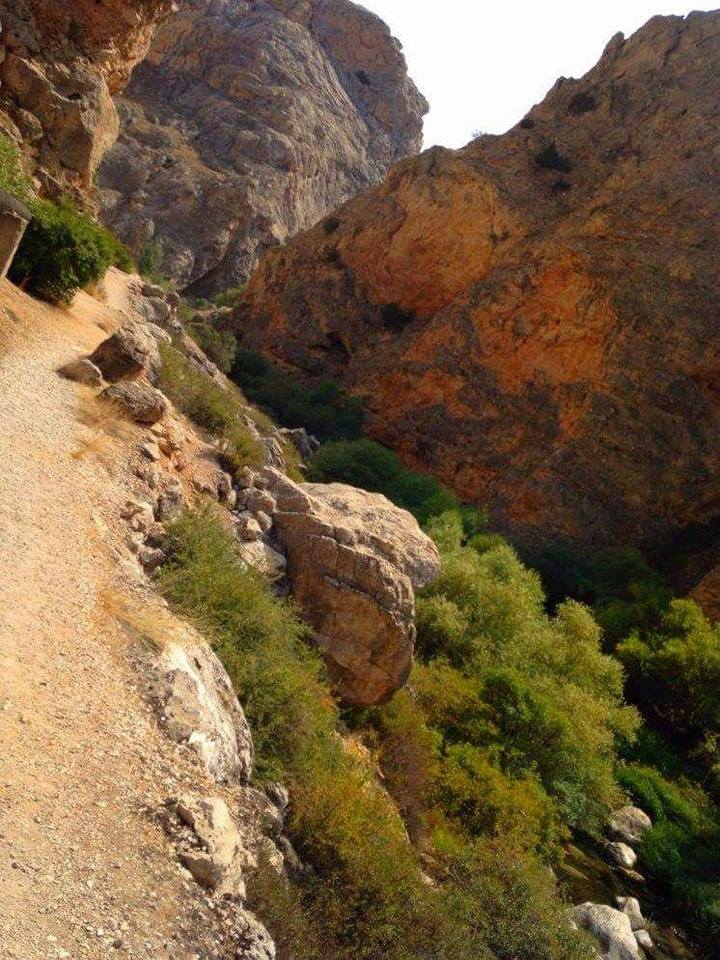 Gürün Kızılören Köyü Resimleri 20