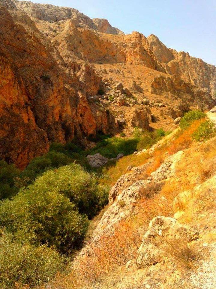 Gürün Kızılören Köyü Resimleri 24