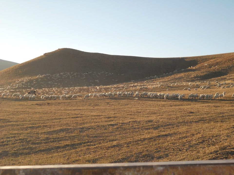 Gürün Konakpınar Köyü Resimleri 15