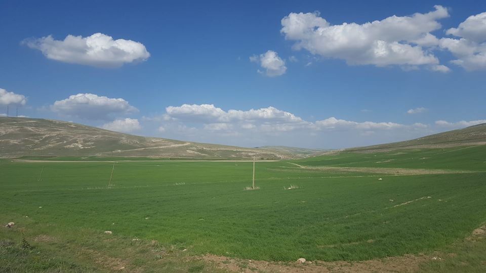 Gürün Konakpınar Köyü Resimleri 5