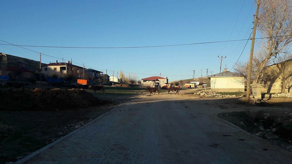 Gürün Konakpınar Köyü Resimleri 8