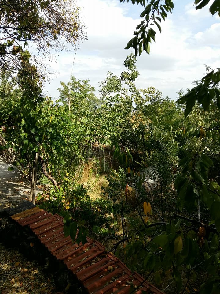 Erzincan Yeşilçay Köyü Resimleri 2