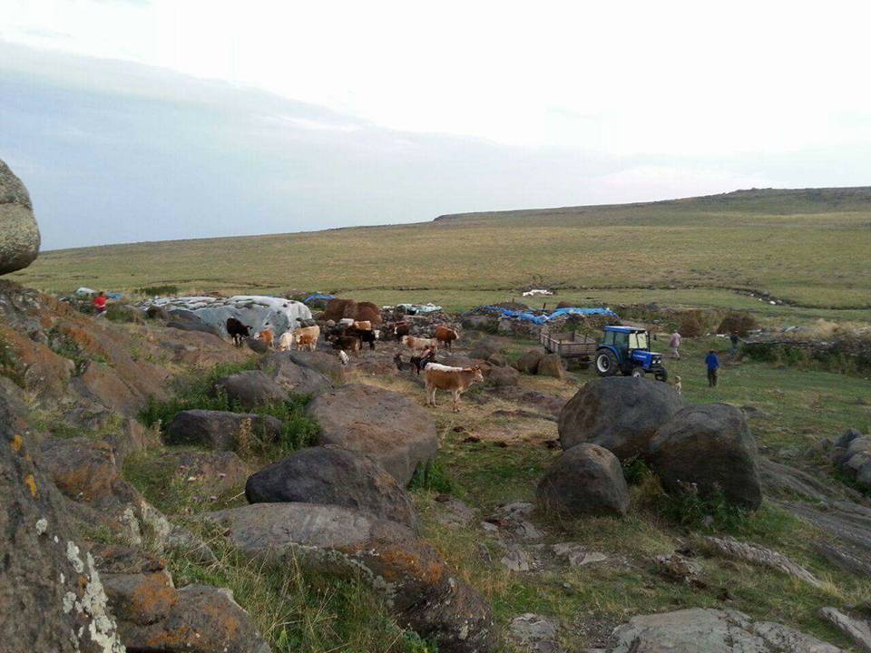 Akyaka Esenyayla Köyü Resimleri 2