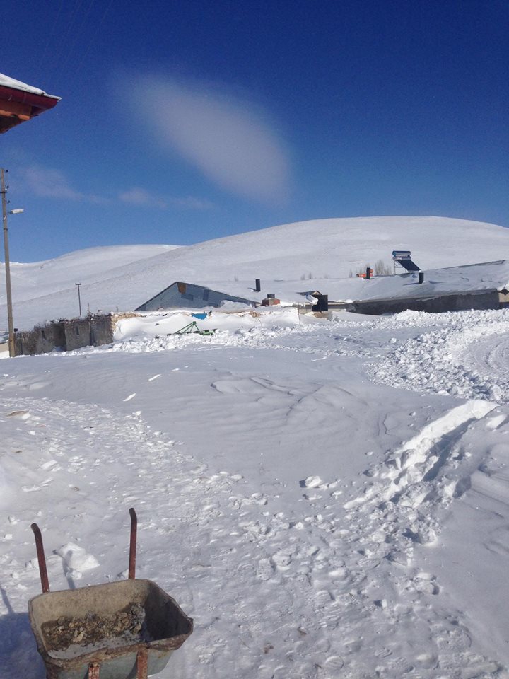 Gürün Koyunlu Köyü Resimleri 5