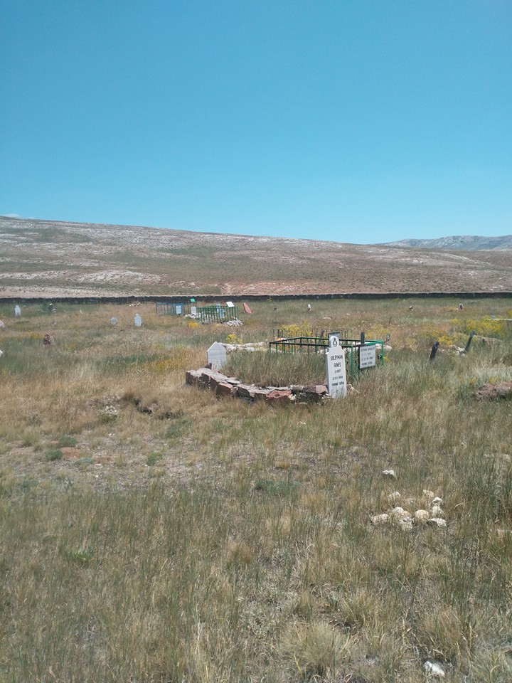 Gürün Koyunlu Köyü Resimleri 8