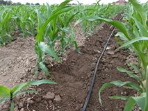 Çivril Akçaköy Köyü Resimleri 3