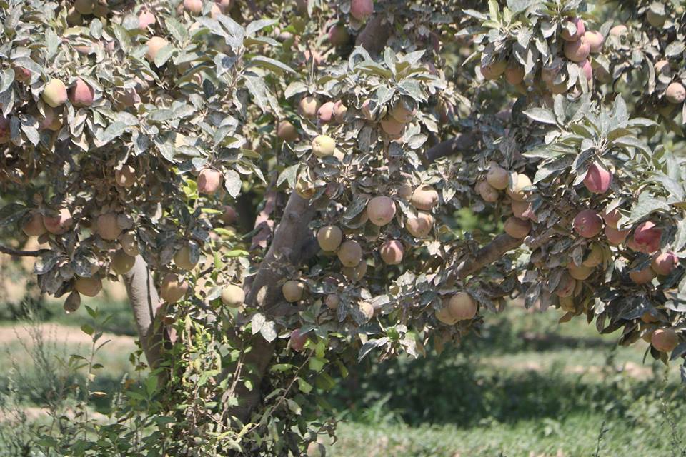 Çivril Akpınar Köyü Resimleri 2