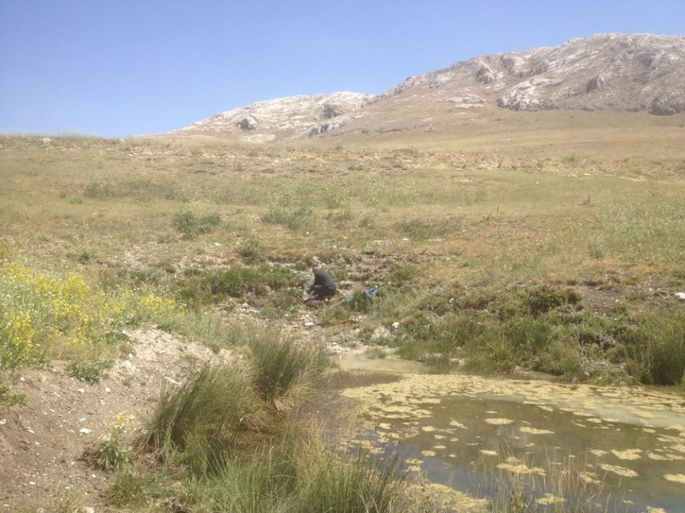 Gürün Kürkçü Köyü Resimleri 13