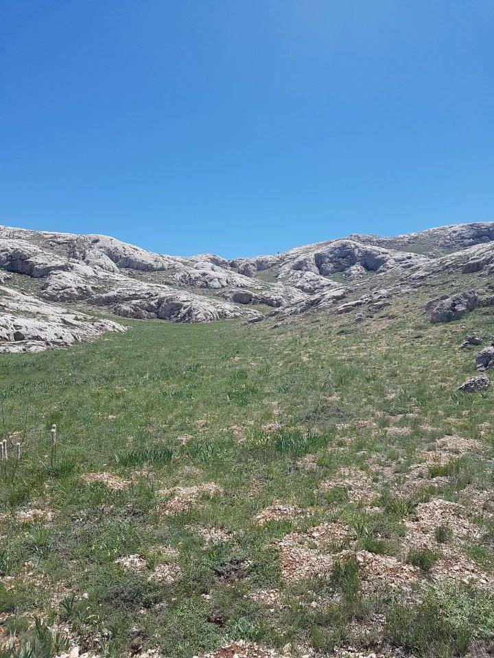 Gürün Kürkçü Köyü Resimleri 15