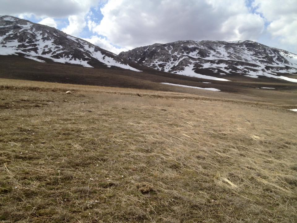 Gürün Kürkçü Köyü Resimleri 6