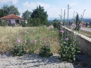 Çivril Aktaş Köyü Resimleri 1