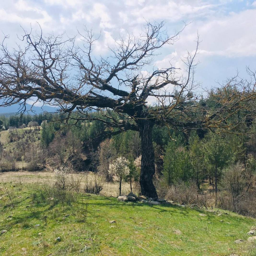 Adana Aladağ Kıcak Köyü Resimleri 31