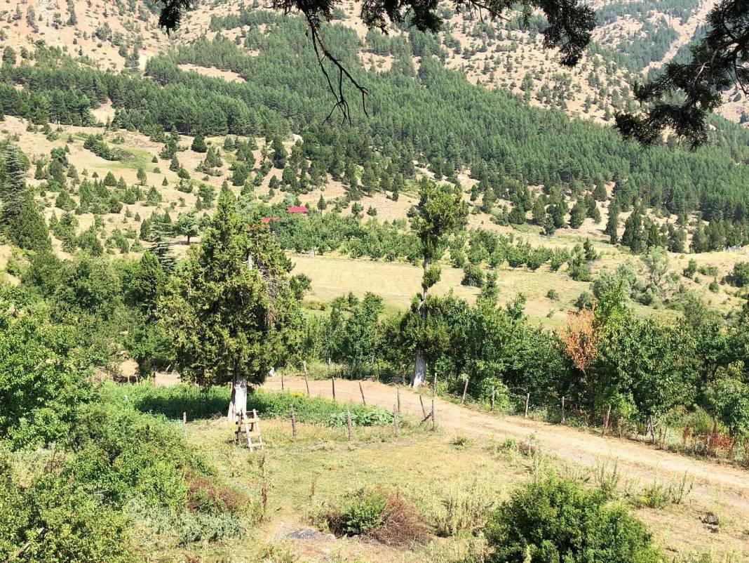 Adana Aladağ Kıcak Köyü Resimleri 36