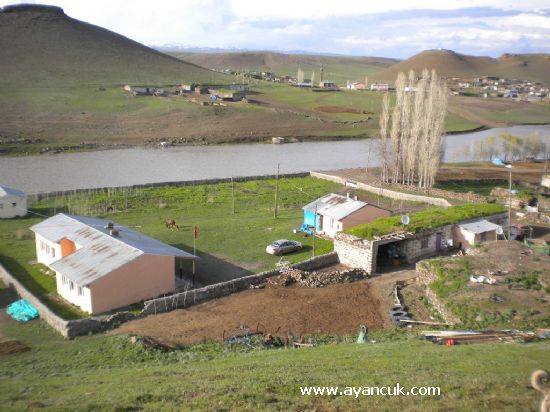 Arpaçay Carcıoğlu Köyü Resimleri 1