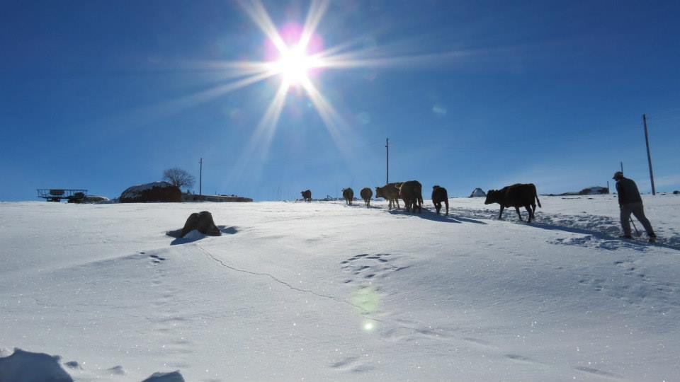Arpaçay Göldalı Köyü Resimleri 5