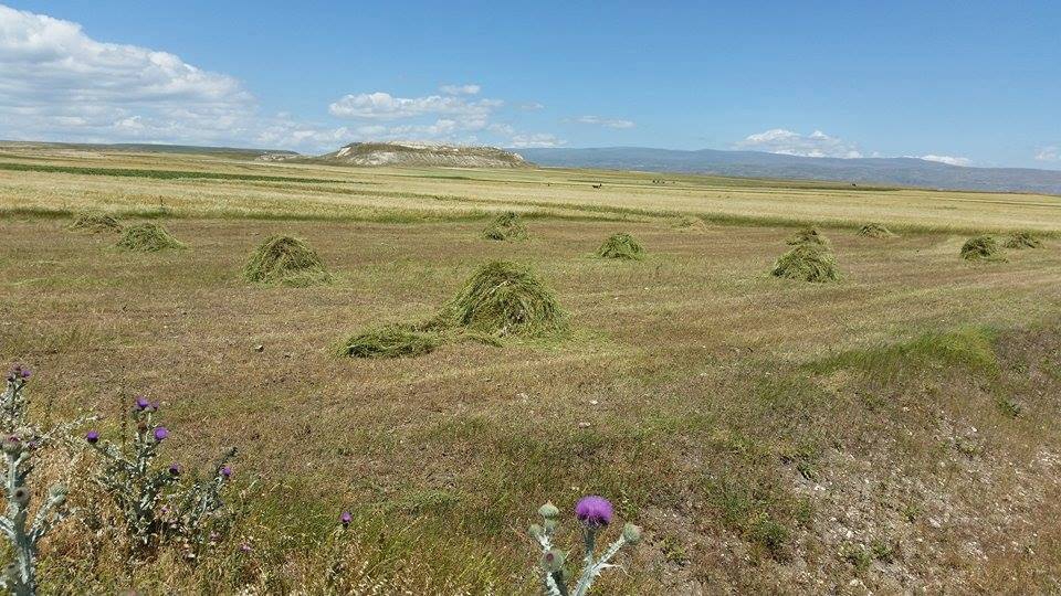 Arpaçay Güvercin Köyü Resimleri 4