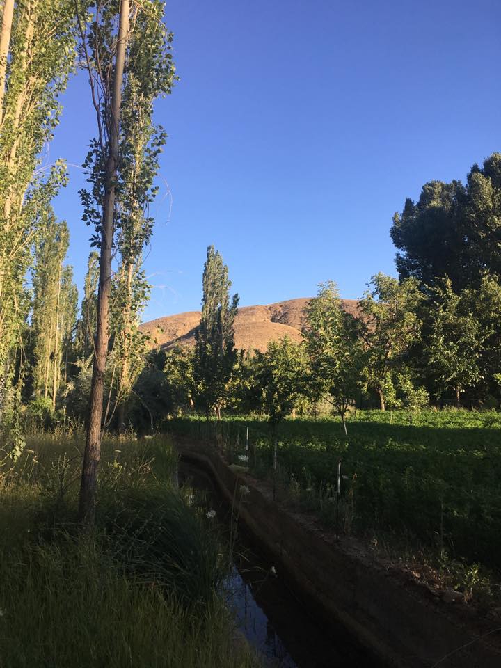 Gürün Sarıca Köyü Resimleri 1