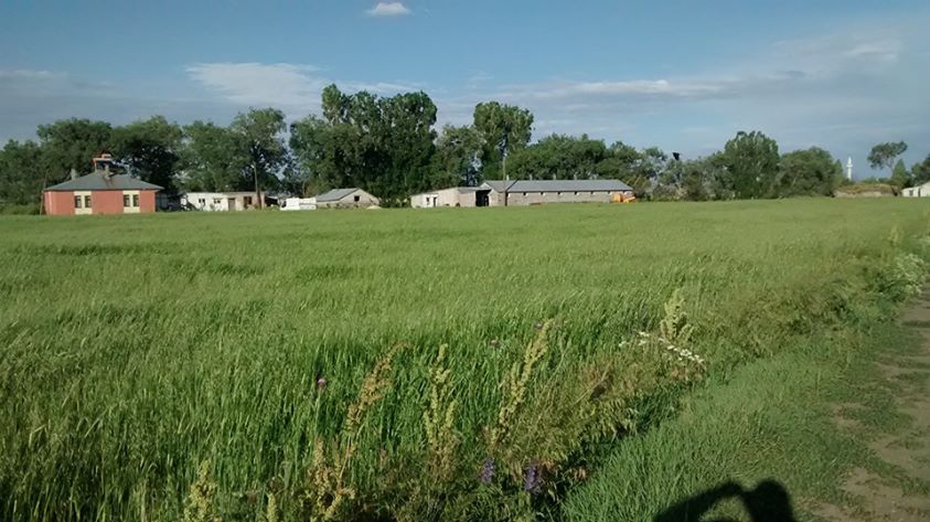 Arpaçay Okçuoğlu Köyü Resimleri 6