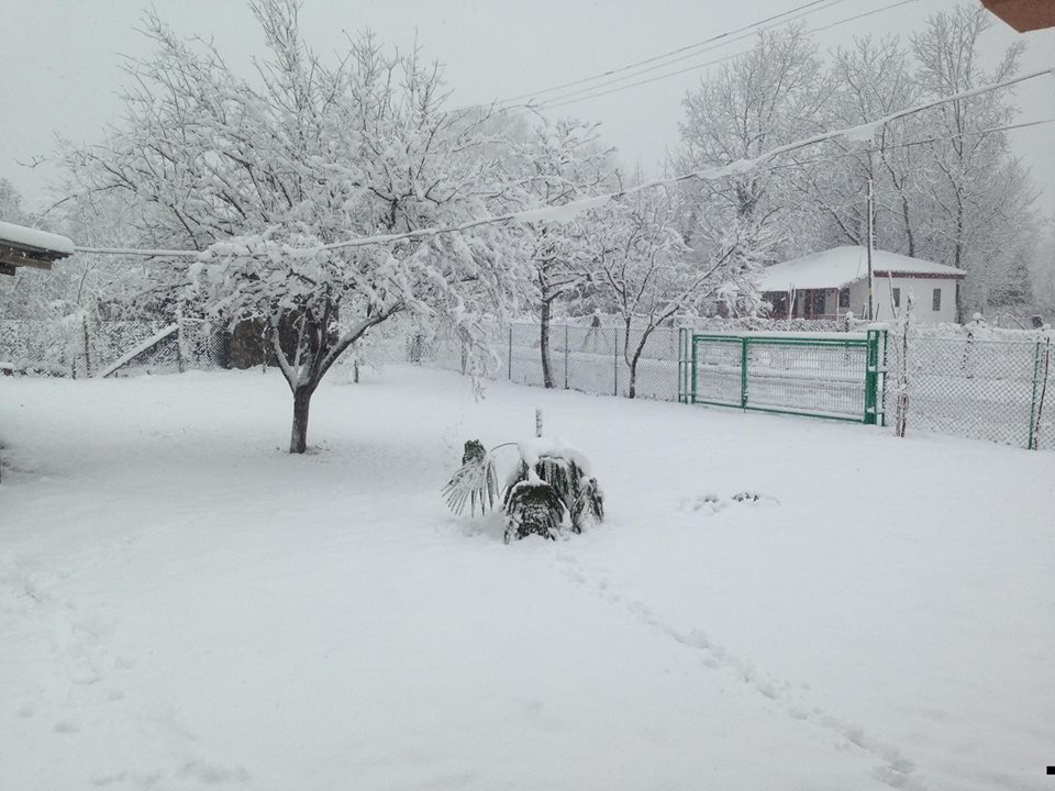 Akyazı Akbalık Köyü Resimleri 1