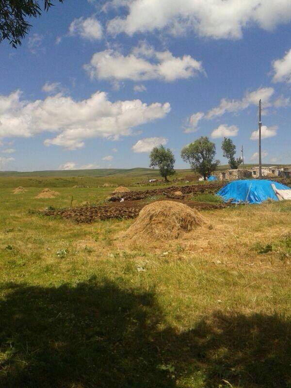 Arpaçay Tepeköy Köyü Resimleri 3