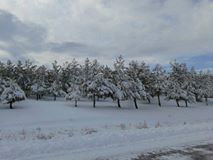Çivril Karabedirler Köyü Resimleri 5