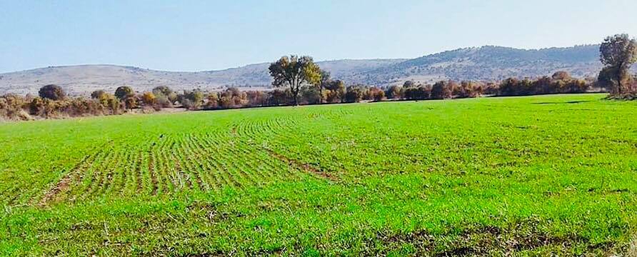 Çivril Karabedirler Köyü Resimleri 6