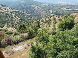 Çivril Kavakalanı Köyü Resimleri 2