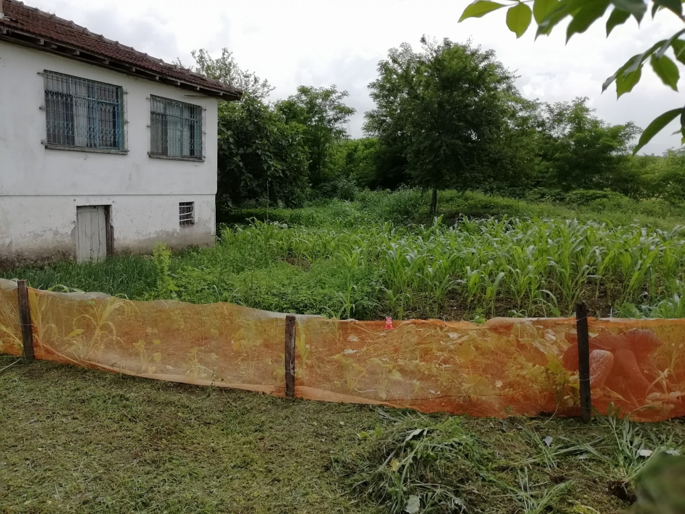 Akyazı Alaağaç Köyü Resimleri 3