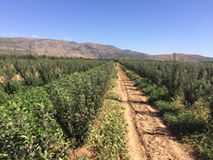 Çivril Koçak Köyü Resimleri 1