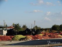 Çivril Koçak Köyü Resimleri 2