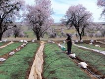 Çivril Özdemirci Köyü Resimleri 1