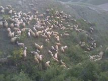 Çivril Özdemirci Köyü Resimleri 2