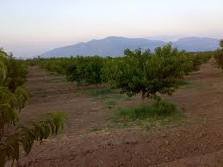 Çivril Seraserli Köyü Resimleri 5